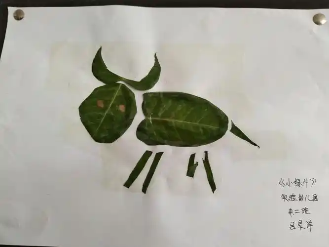 中二班文艺小生们的作品――树叶粘贴画