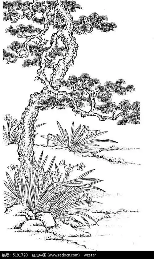 松树简笔画手绘松树简笔画手绘松树的简笔画松树画法简笔画内容图片