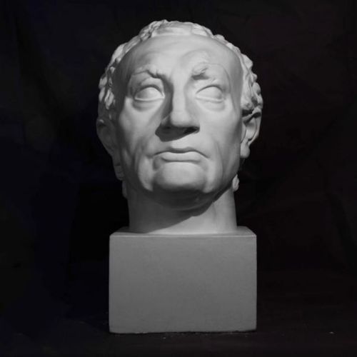 阿格密那塔头 石膏像美术写生教具静物绘画素描头像 雕像 包邮