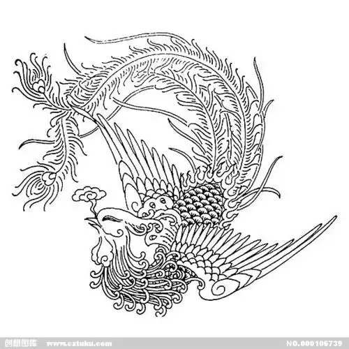 所有凤凰的简笔画视频教程