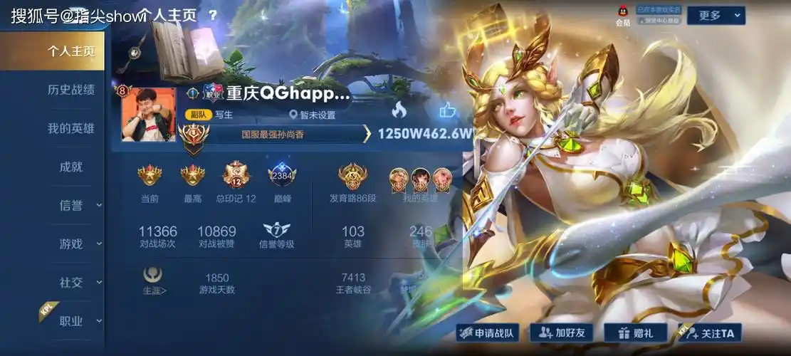 王者荣耀职业选手的个人主页用的是什么皮肤看到刺痛的我酸了