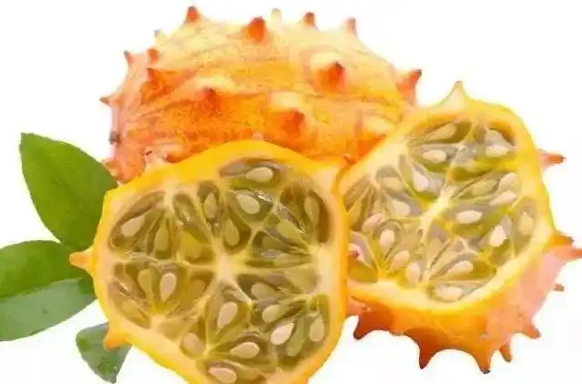 南方水果大全叮咚这9种适合南方种植的新奇特水果你或许听过未必见过