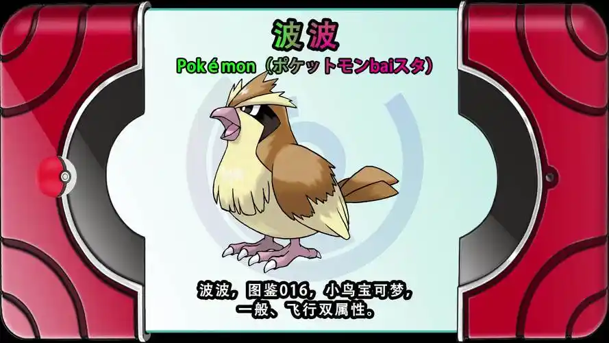 波波图鉴016小鸟宝可梦
