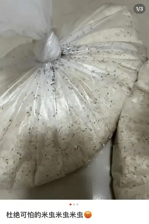 可是吃下去又有些顾虑小永把这些米平铺到太阳下暴晒黑色的芝麻大小