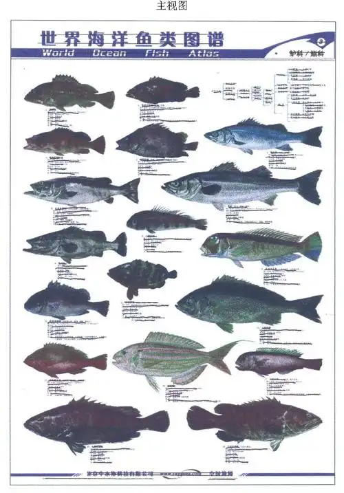 世界海洋鱼类图谱(3)
