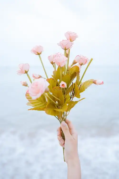 女性手拿花特写