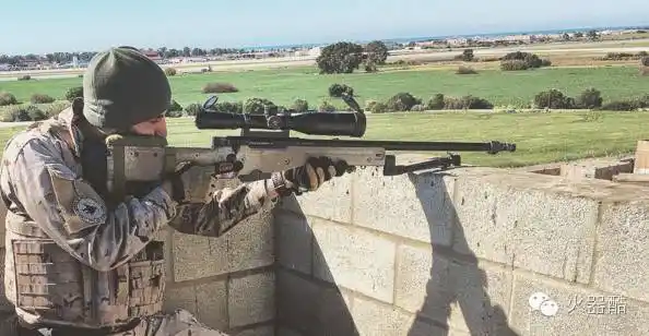 往期精选在游戏中神一样的存在l96a1狙击步枪
