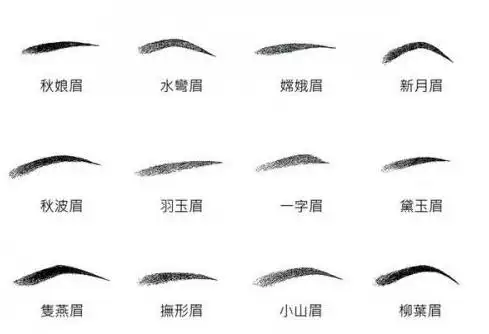 眉毛分类图解面相,眉毛的种类