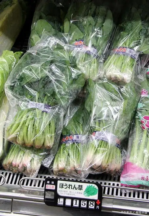 真空袋的妙用!真空包装蔬菜应注意的事项