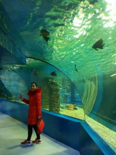 苏州海洋馆