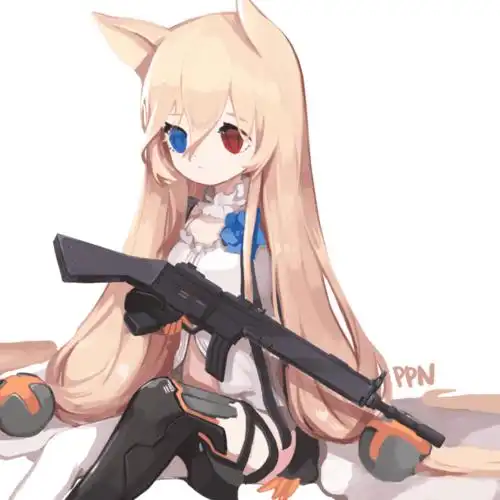 画师sr作品_id:20714093_少女前线wa2000