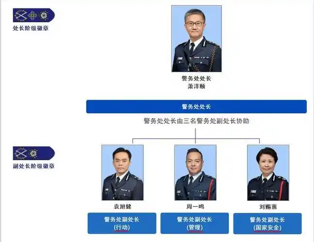 香港警队,非同一般的"正厅级"架构|警署|警司|警务处|保安局_网易订阅