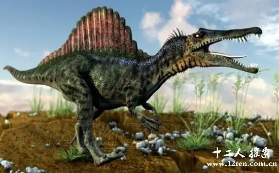 双脊龙侏罗纪早期的食肉恐龙头上长骨冠高2米多