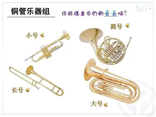 铜管乐器组 圆号 小号 长号 大号