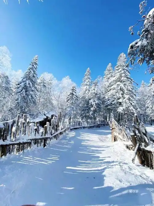 不只亚布力滑雪,堪称哈尔滨冬季雪景天花板的游玩攻略!