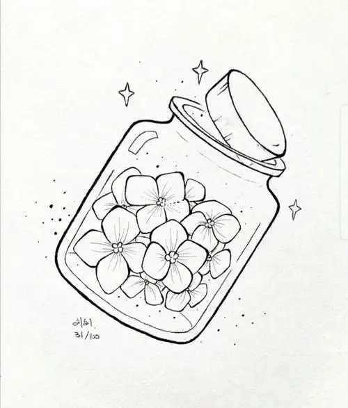 黑白线稿3小白临摹(许愿瓶78)