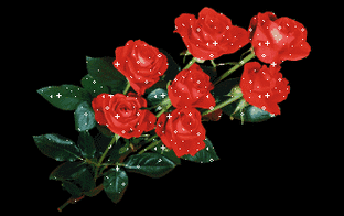 早上好,今天周一,送你99朵玫瑰花,愿你美丽!健康!长寿!