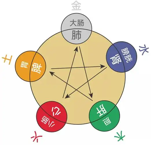 《黄帝内经》之五行脏相学中提到"五行有五色,五脏有五行,五色入五脏