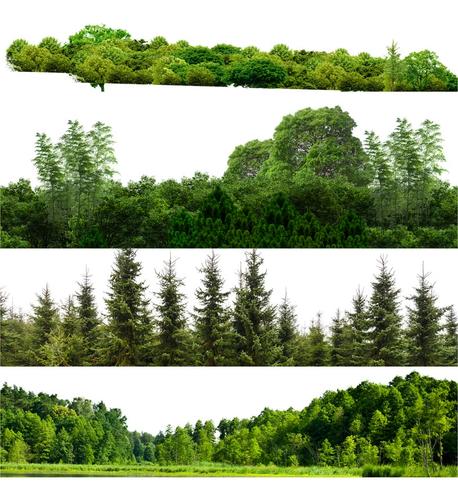 背景植物树木远景树林丛林远景山配景树景观效果图psd免抠ps素材