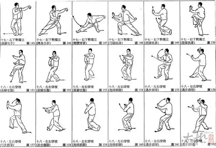 24式太极拳分解教学图示