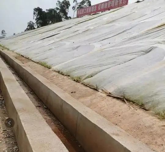 排水工程同步施工.