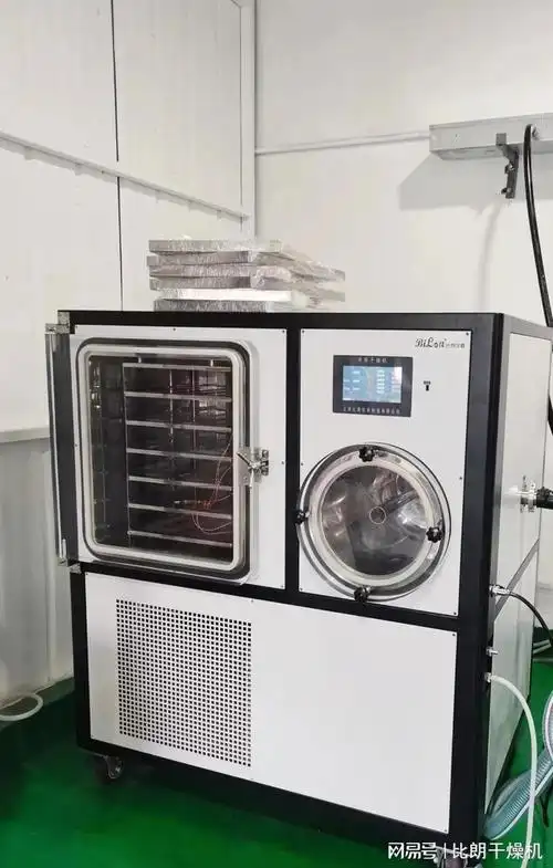 真空冷冻干燥机冻干机在ivd行业的应用