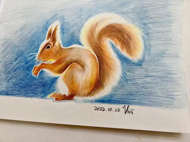 彩铅动物彩铅松鼠