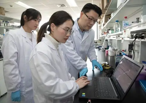 1月22日,在中科院神经科学研究所实验室,张洪钧研究员(右)和团队成员