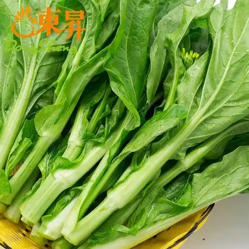 东升农场白菜心白菜苔广州蔬菜新鲜配送400g