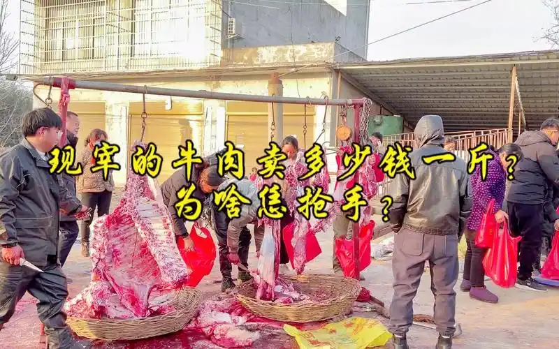 现宰的牛肉卖多少钱一斤?这个价格贵不贵?为啥大伙都来抢?