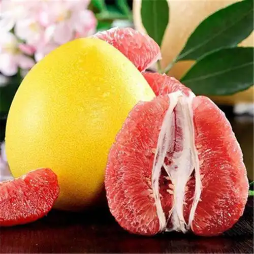 红柚粉 红柚速溶粉 喷雾干燥 水溶性红柚浓缩粉_其他产品__食品伙伴网