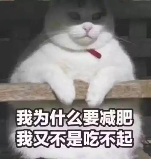 我为什么要减肥我又不是吃不起不是为什么减肥吃不起表情