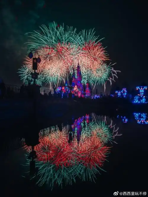 微博放烟花迎龙年##上海迪士尼新年特别版烟花秀