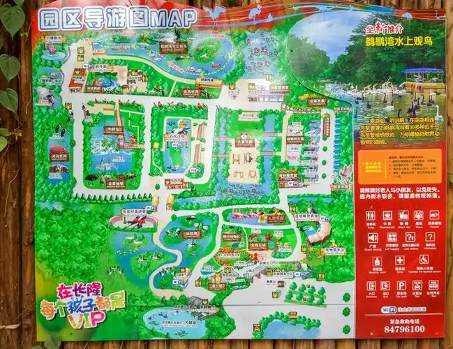 【途牛首发】带你玩遍广州长隆飞鸟乐园,亲子首选