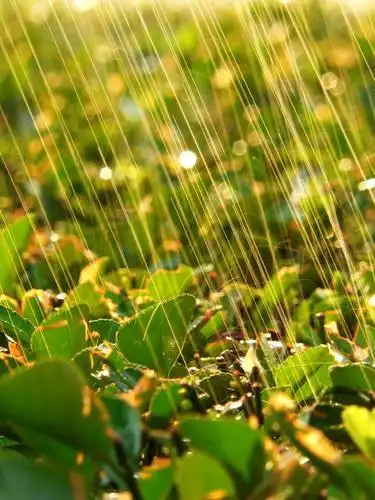 太阳雨带来的人生