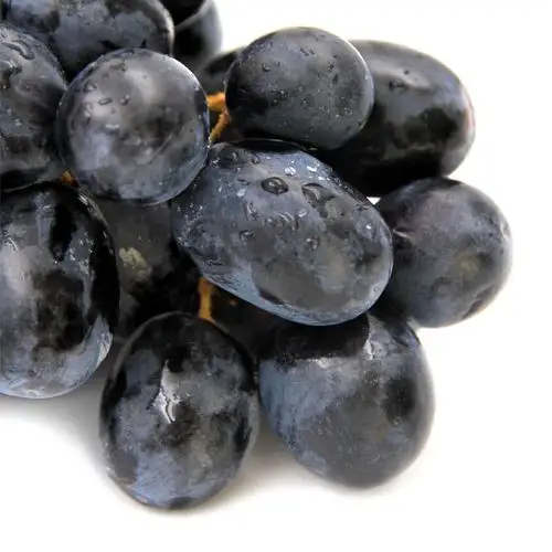 澳洲无籽黑提 500克