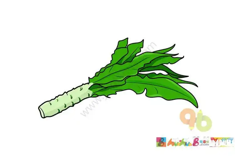 植物大战僵尸莴苣简笔画