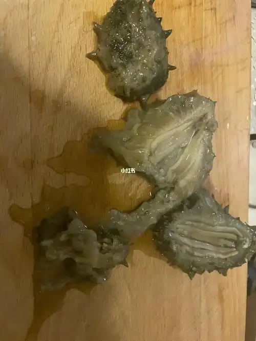 被冻坏的海参重新见人