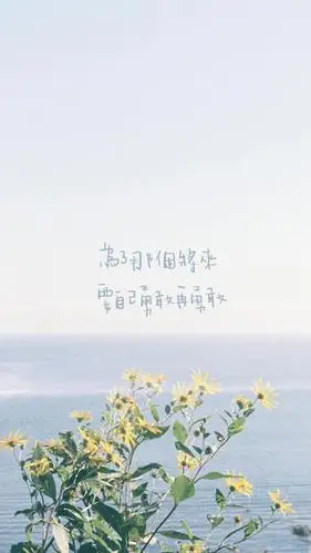 心灵鸡汤文字配图,图片大全,高清,图库-回车桌面