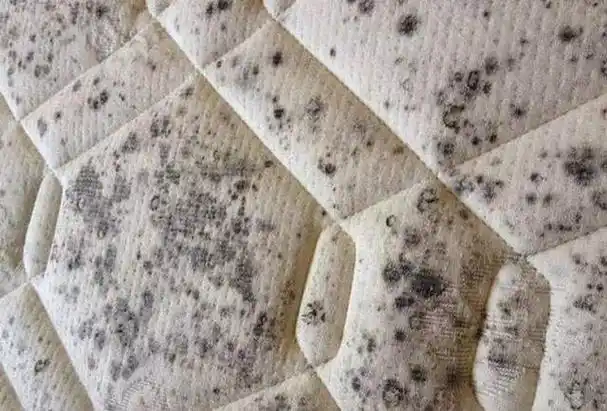 床垫多久换一次?睡过的床垫需要保养吗?