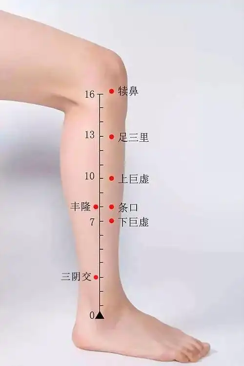 之前有给小伙伴们分享过,脚上分布着很多反射区和经络;从脚往上,我们