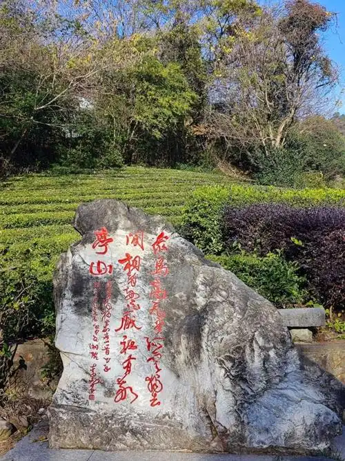 皖美夏日丨如何在敬亭山体验city walk ?清凉一"夏"