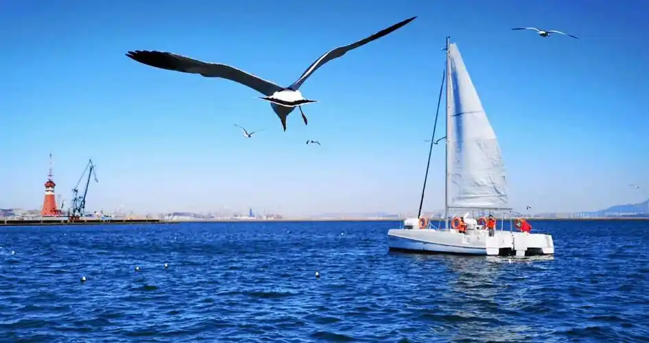 走进大连的老码头