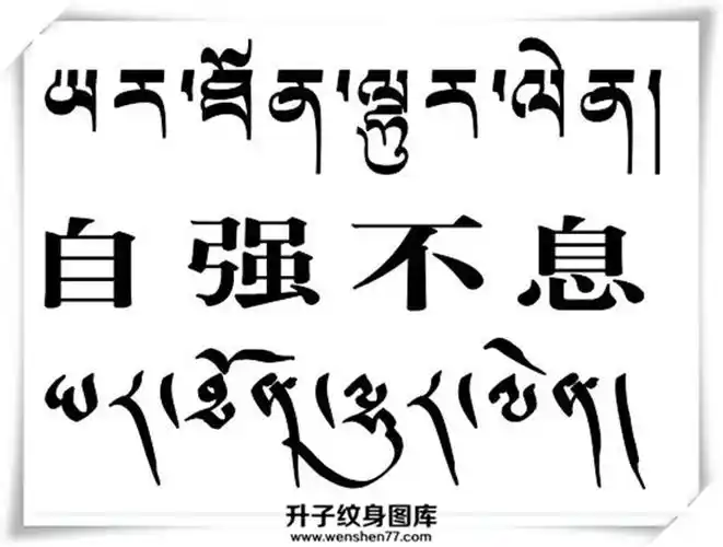 重庆梵文纹身 重庆梵文纹身价格 特价纹身