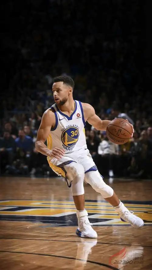 3号奥体中心篮球赛门票