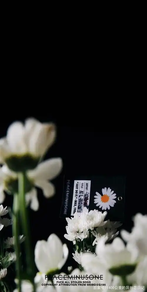 nike x 权志龙 小雏菊 手机壁纸分享