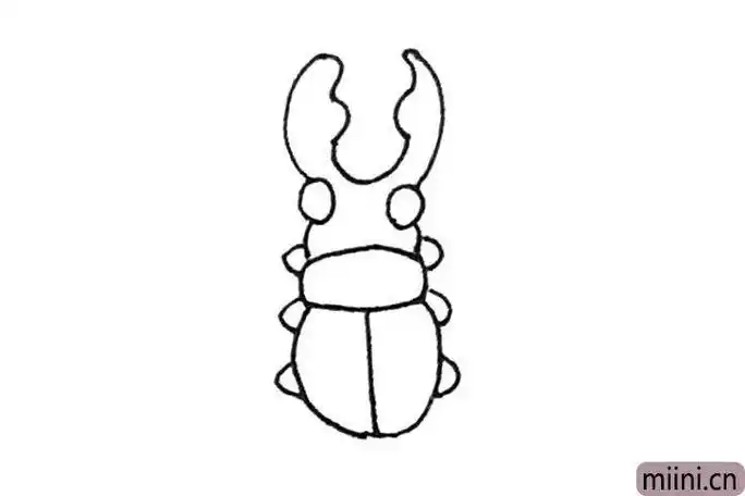 昆虫金布甲的简笔画