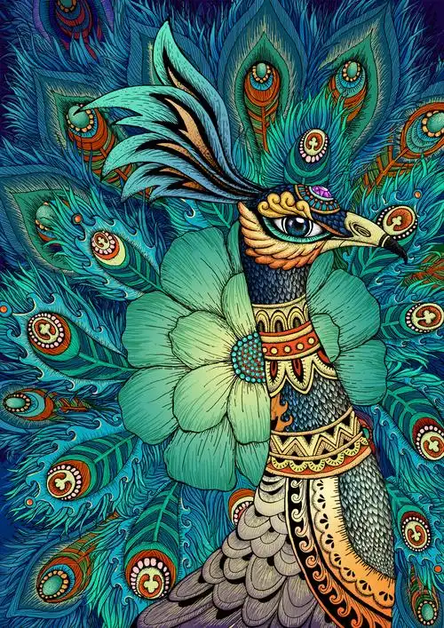 孔雀手绘插画