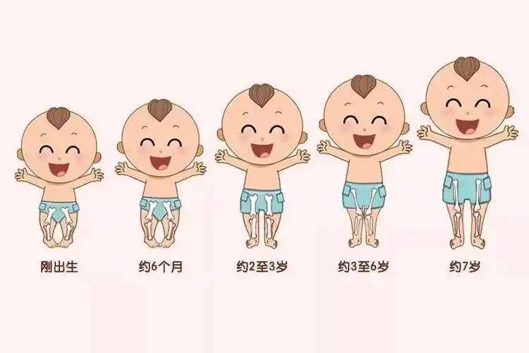 【哈罗呦呦托育公学】值得注意的宝宝1-3岁发育的小细节 !