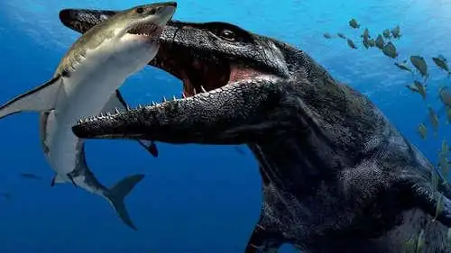 沧龙是哺乳动物吗沧龙能吃霸王龙吗